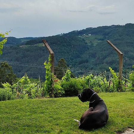 노게이라데라민 Casa Da Vina - Ribeira Sacra 빌라 외부 사진