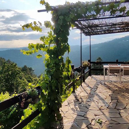 노게이라데라민 Casa Da Vina - Ribeira Sacra 빌라 외부 사진