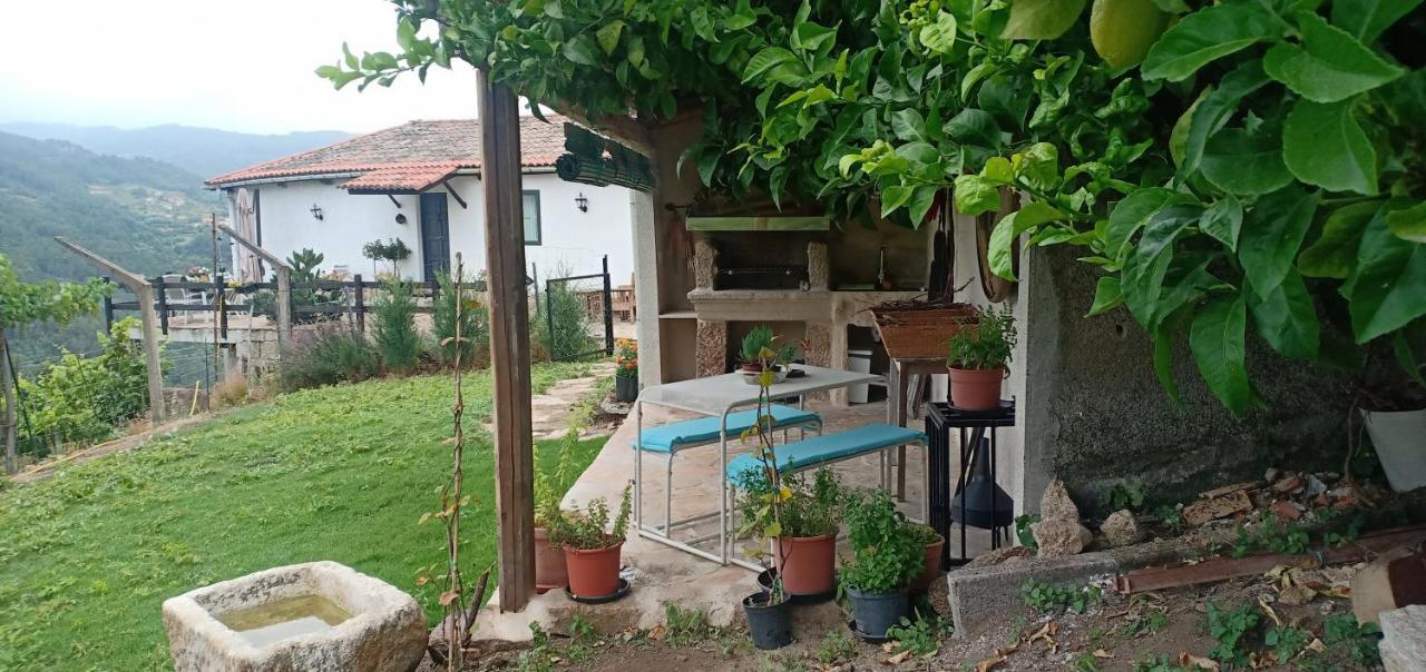 노게이라데라민 Casa Da Vina - Ribeira Sacra 빌라 외부 사진