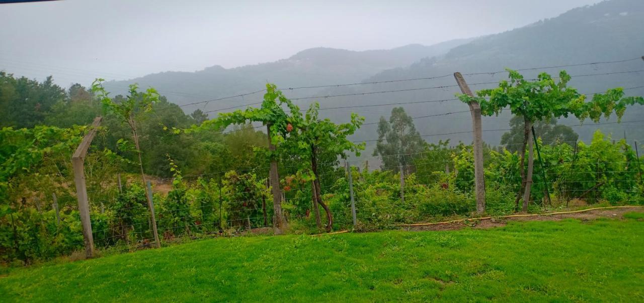 노게이라데라민 Casa Da Vina - Ribeira Sacra 빌라 외부 사진