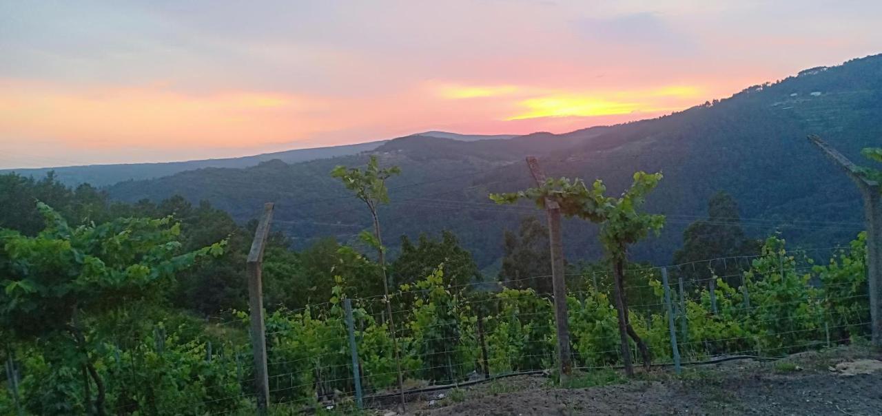 노게이라데라민 Casa Da Vina - Ribeira Sacra 빌라 외부 사진