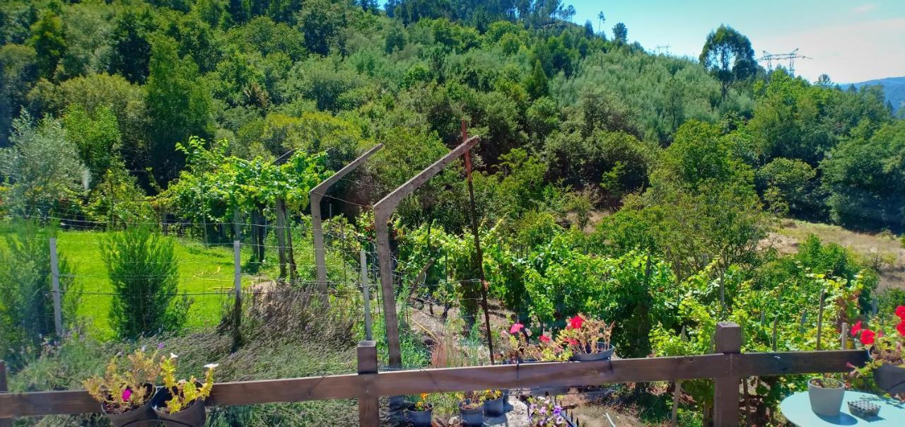노게이라데라민 Casa Da Vina - Ribeira Sacra 빌라 외부 사진